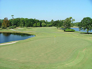 Disney Magnolia G.C.